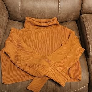 Cropped Turtleneck Sweater